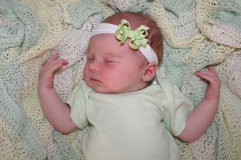 IMG_4217.JPG
