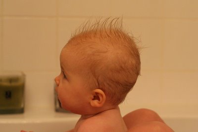 IMG_0287.JPG