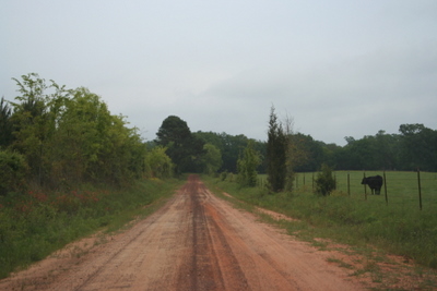 IMG_42672.JPG