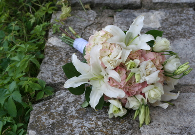IMG_6444.JPG