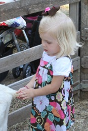 IMG_1125