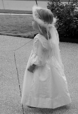 IMG_6811