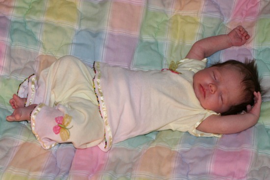 butterfly anna kate