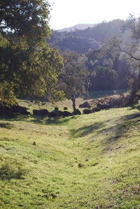 November 2011 155-1