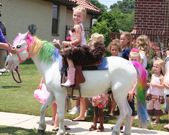 IMG_9973