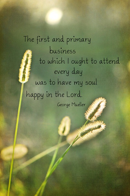 HappySoulWeb