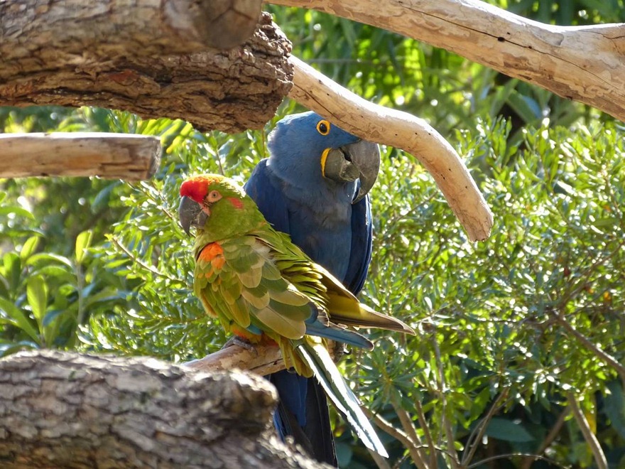P1070053