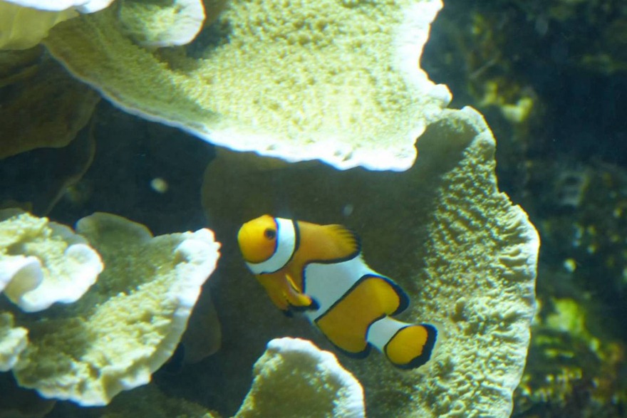 P1070159