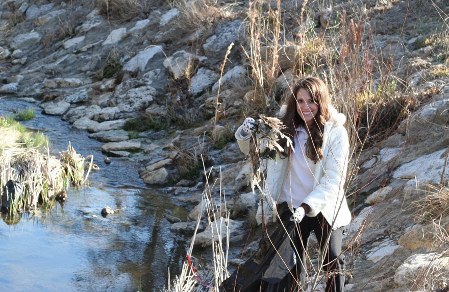 Creek clean-up