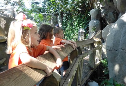P1140129