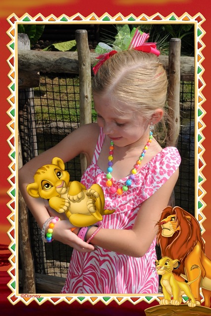 wdw201329514970489_6876316587_18