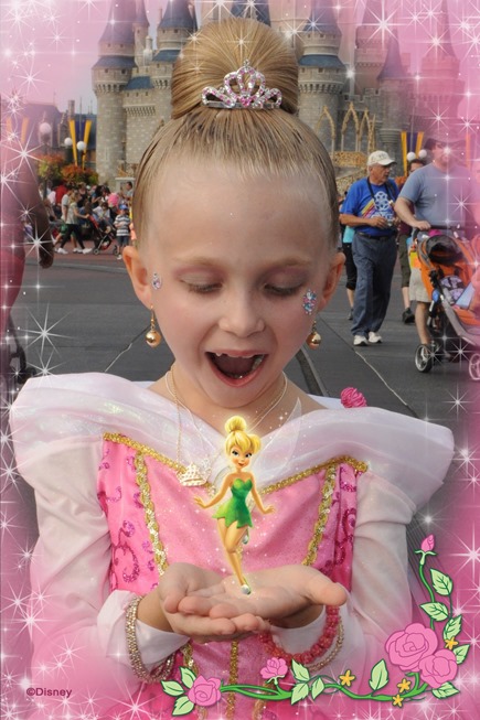 wdw201329615317847_6875577505_18