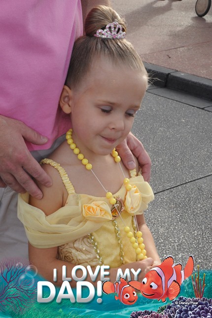 wdw201329615318612_6883623274_18