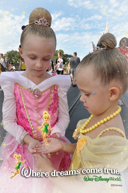 wdw201329615323097_6883623276_18