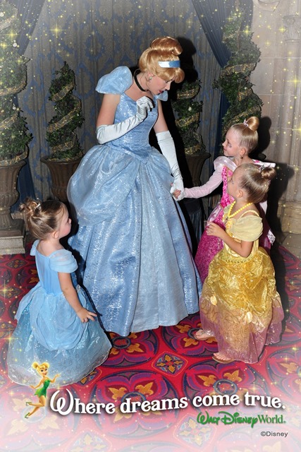 wdw201329615333072_6891244810_18