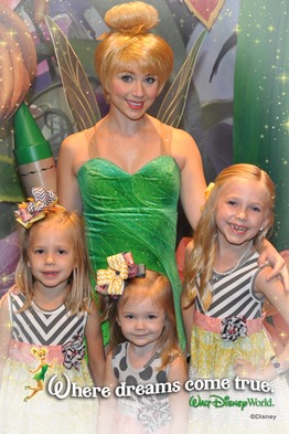 wdw201330016222793_6891238496_18