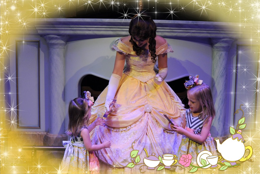 wdw201330016233515_6876314159_18