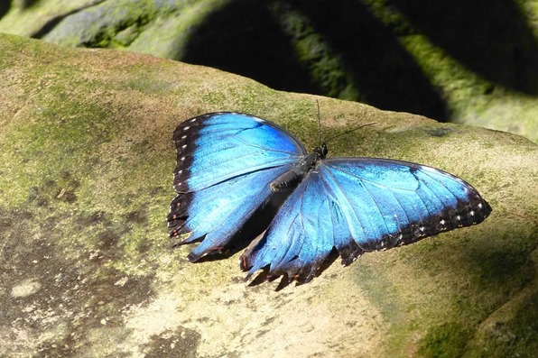 P1240271