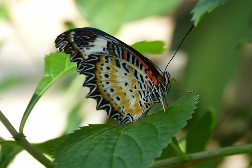 P1240283