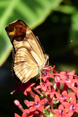 P1240298