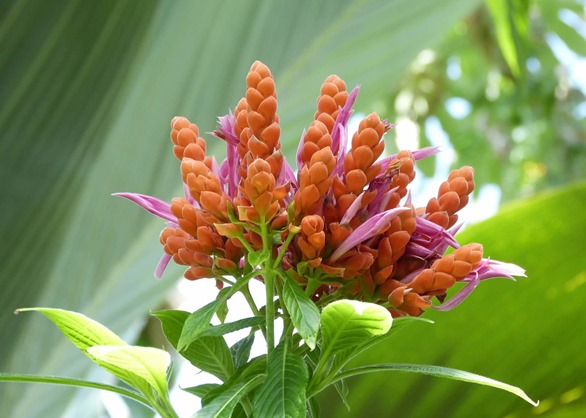 P1240315