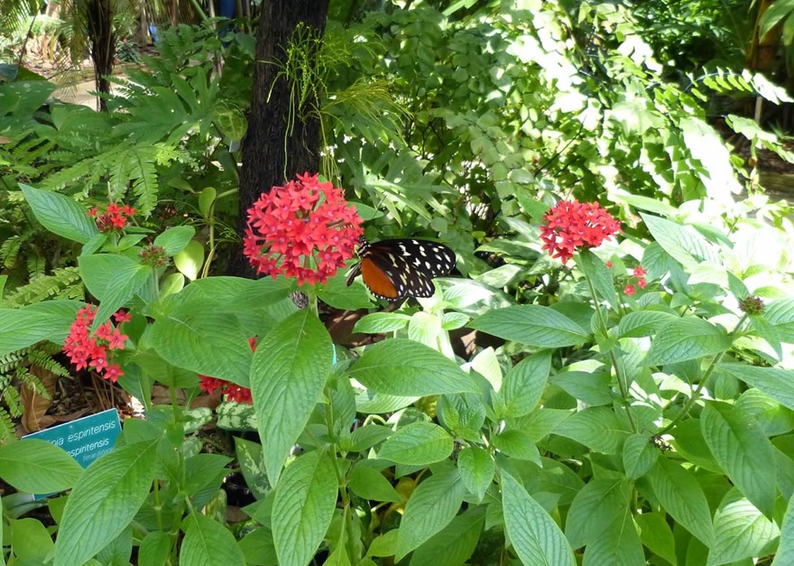 P1240424