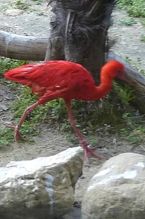 P1250006