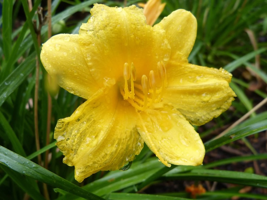 44-P1300064