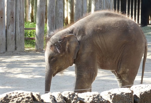 54-P1340823