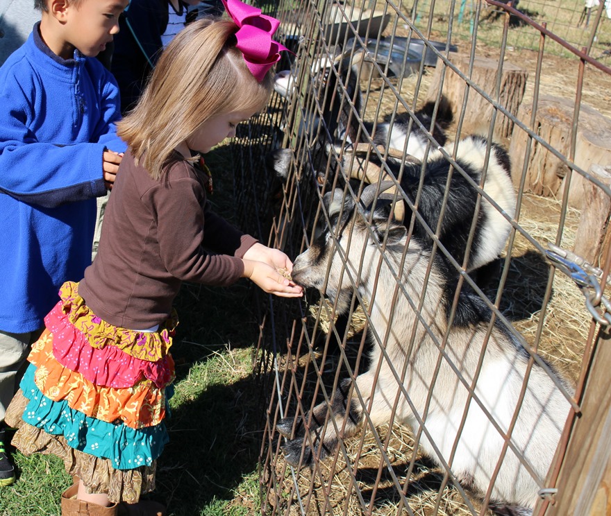05-IMG_0868