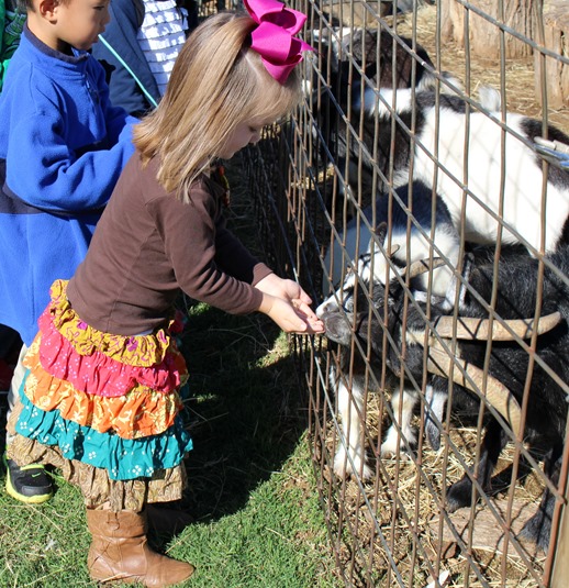 07-IMG_0872