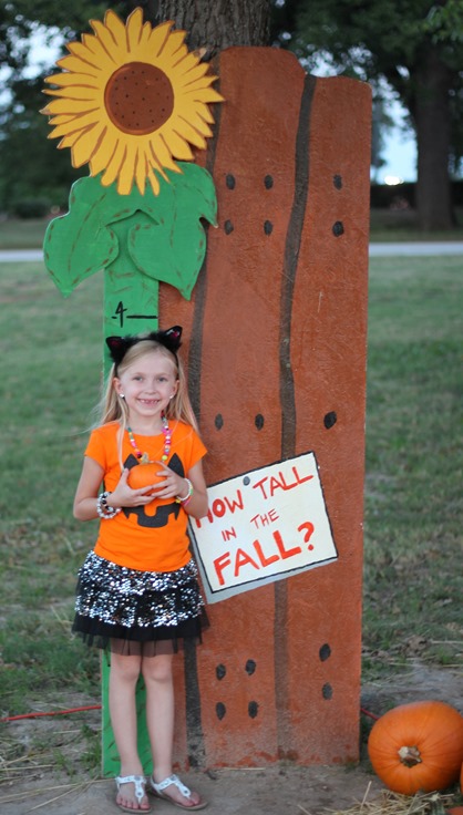 How tall in the fall