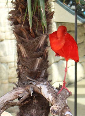 19-IMG_0341