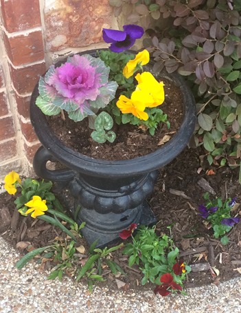 I love to garden and take care of our flower beds... I need to learn more about it and start a vegetable garden.  I would LOVE that!