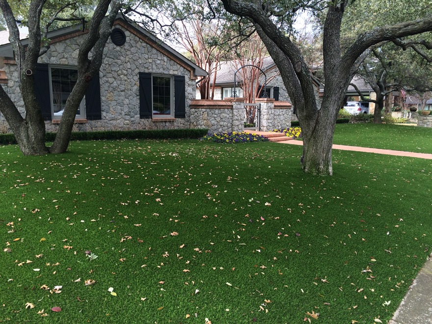 turf front yard not real grass