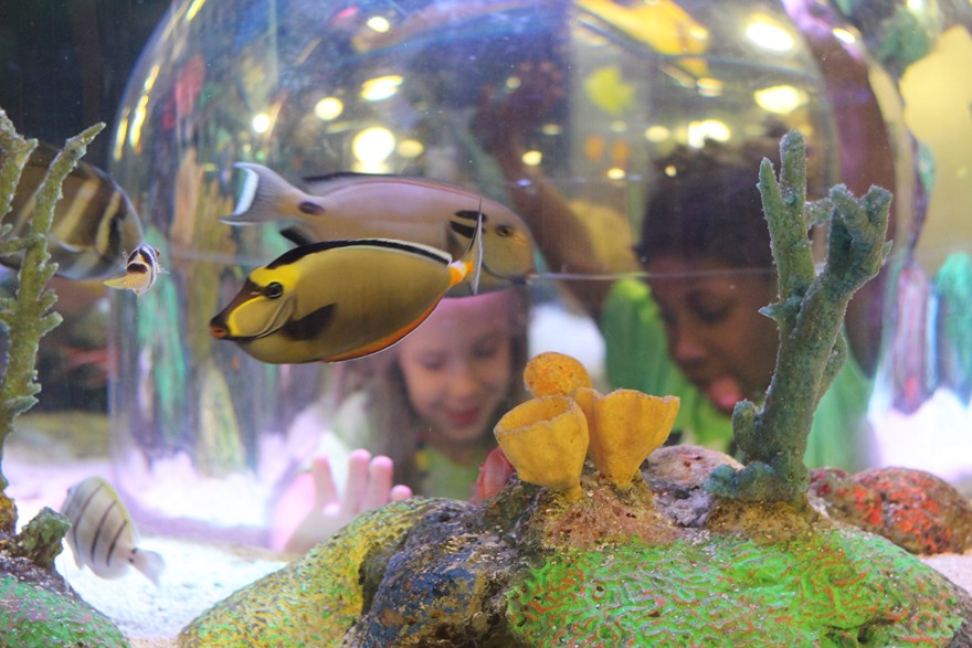 Malia and Anna Kate at Sea Life Aquarium
