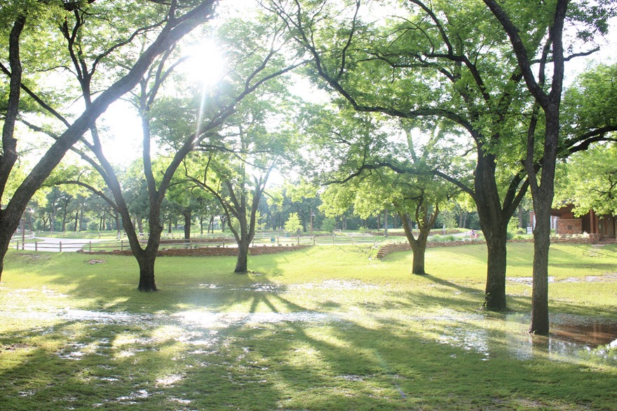 nature park