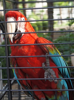 DSC00502