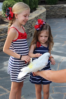 IMG_9090-001