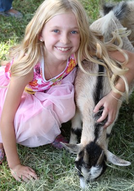 beautiful blonde hair on a goat love it!