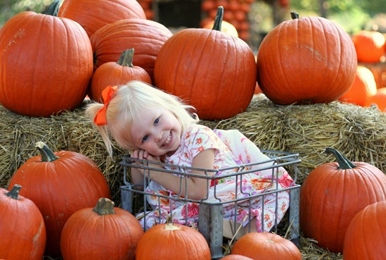 IMG_0552_edited