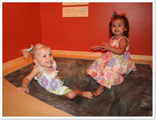 IMG_6558
